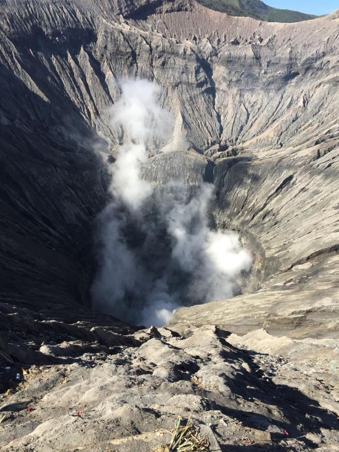 דירות Tosari Bromo Tanjung מראה חיצוני תמונה