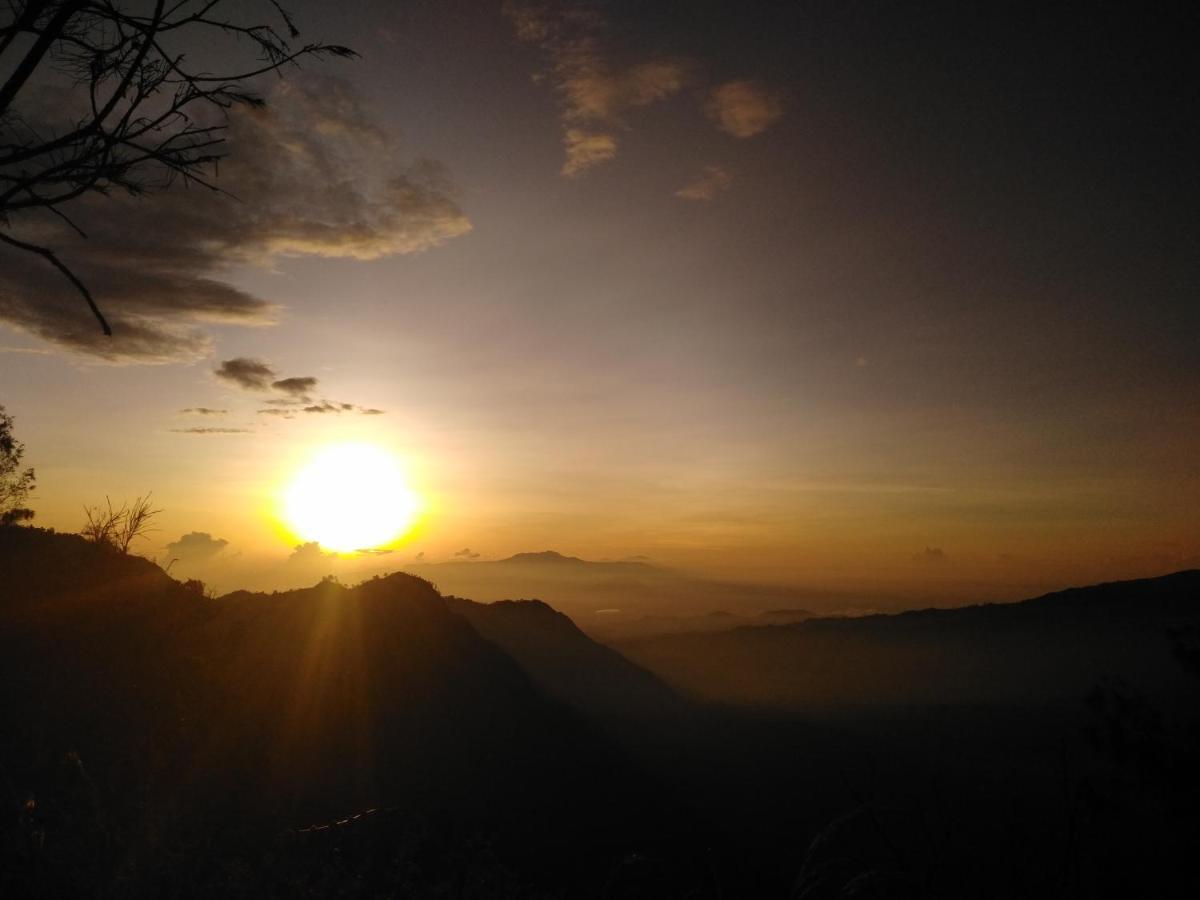 דירות Tosari Bromo Tanjung מראה חיצוני תמונה