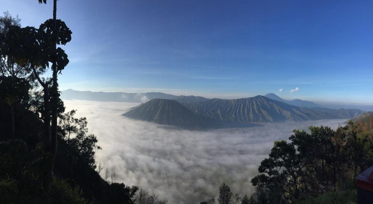 דירות Tosari Bromo Tanjung מראה חיצוני תמונה