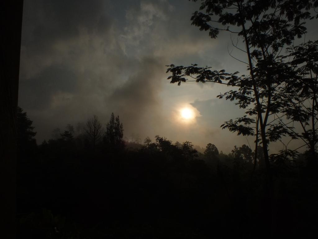 דירות Tosari Bromo Tanjung מראה חיצוני תמונה