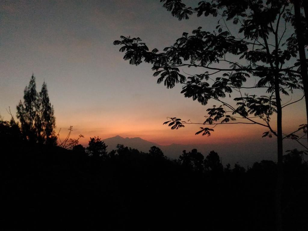 דירות Tosari Bromo Tanjung מראה חיצוני תמונה