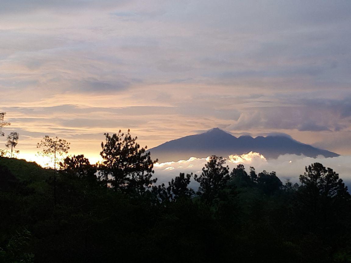 דירות Tosari Bromo Tanjung מראה חיצוני תמונה